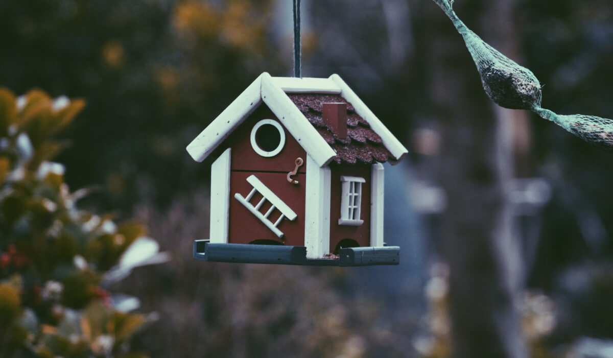 cuando extingue uso vivienda tras separacion o divorcio