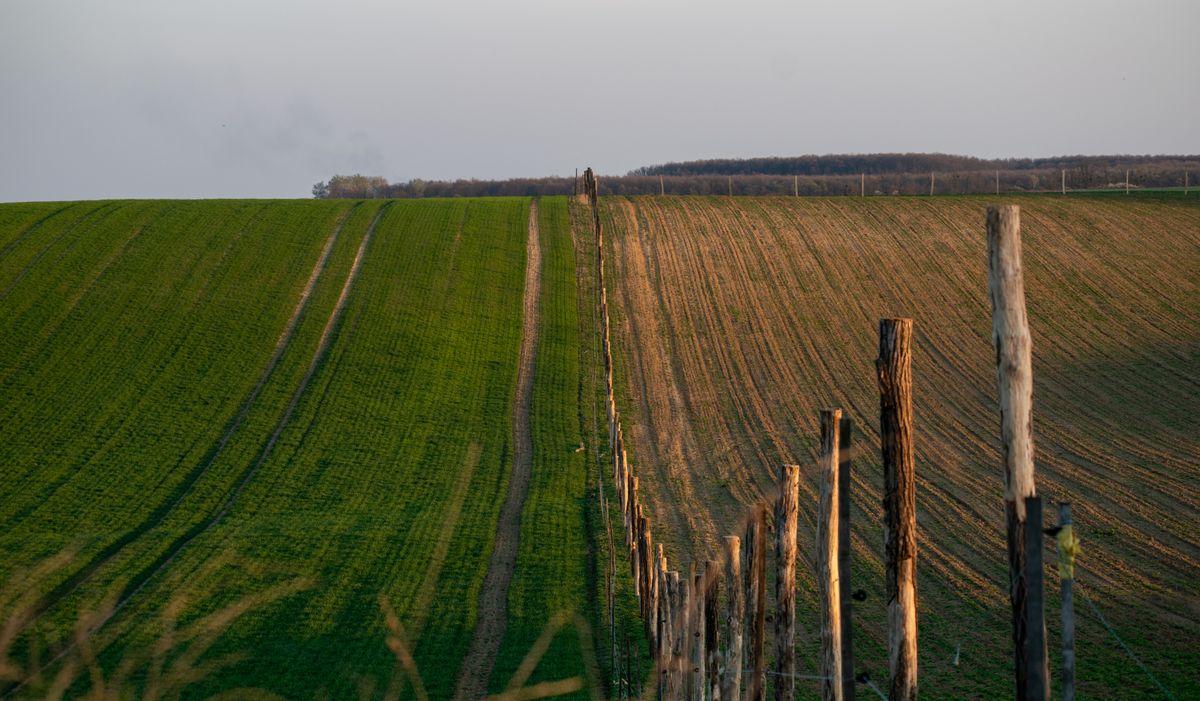 finca con campos divididos por una valla de madera, titularidad de una finca