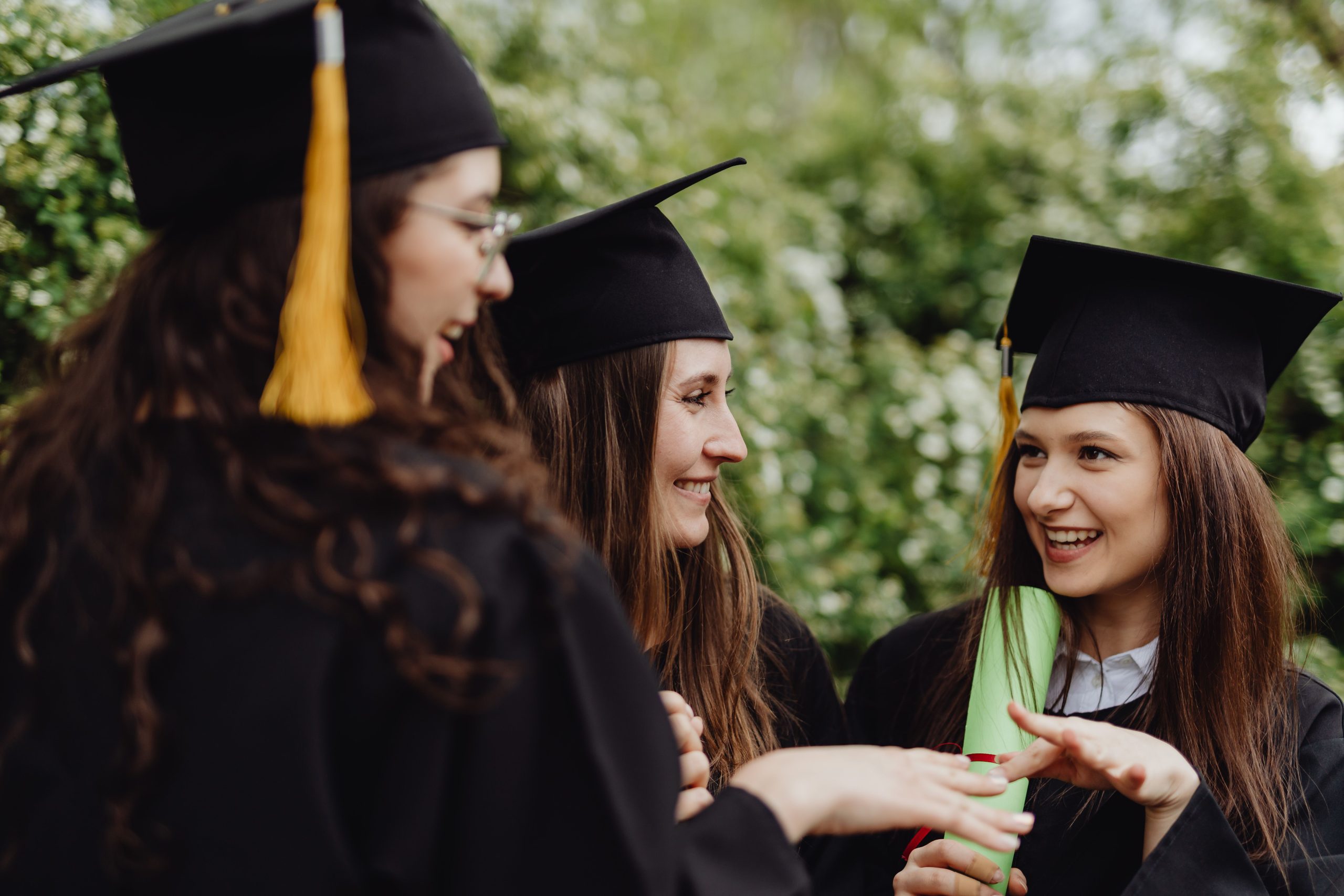 graduado social, diplomatura o licenciatura